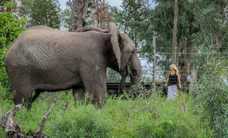 Françoise Malby-Anthony with Frankie, the current matriarch of the elephant herd at Thula Thula. Photo by Kim McLeod