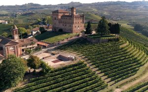 La vigna Cascina Gustava e il Castello di Grinzane (Photo Murialdo 2)