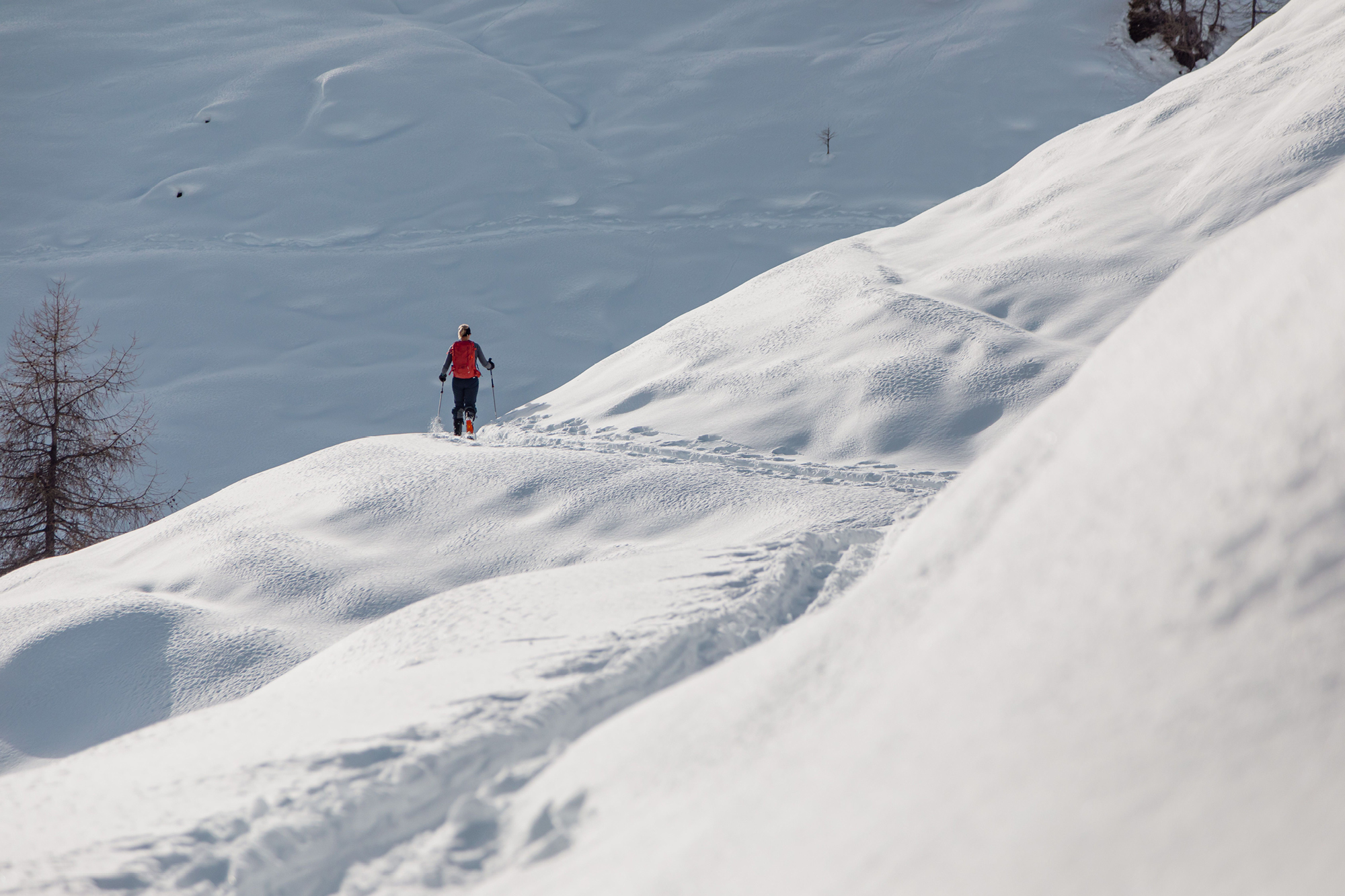 Aiming to break a record, Wendy Searle will complete the She Who Dares expedition next month