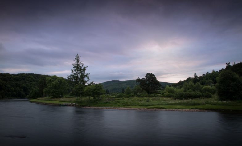 The River Spey is notably inhabited by Atlantic salmon