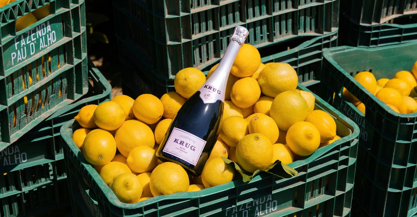 Krug x Lemon