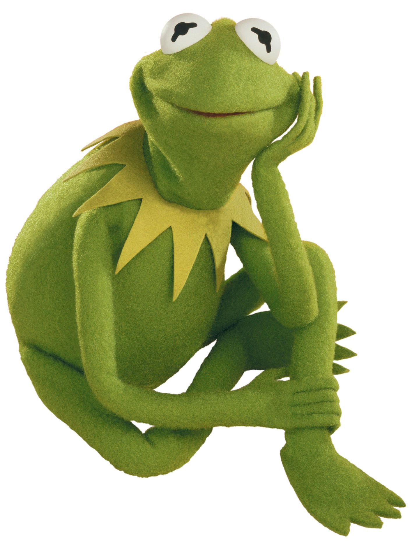 Kermit the frog