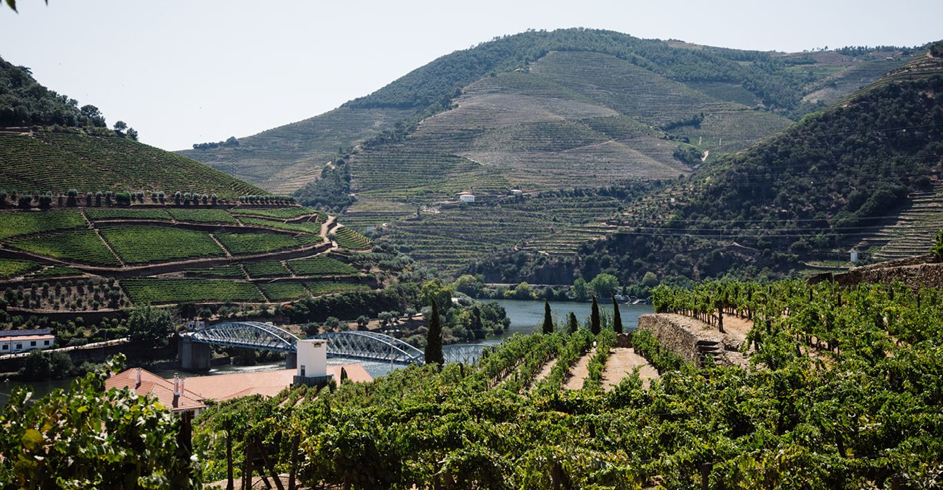 In addition to being supplied with 12 special bottles of wine a year, Symington's Matriarca Club members in Portugal have visited wineries not usually open to the public