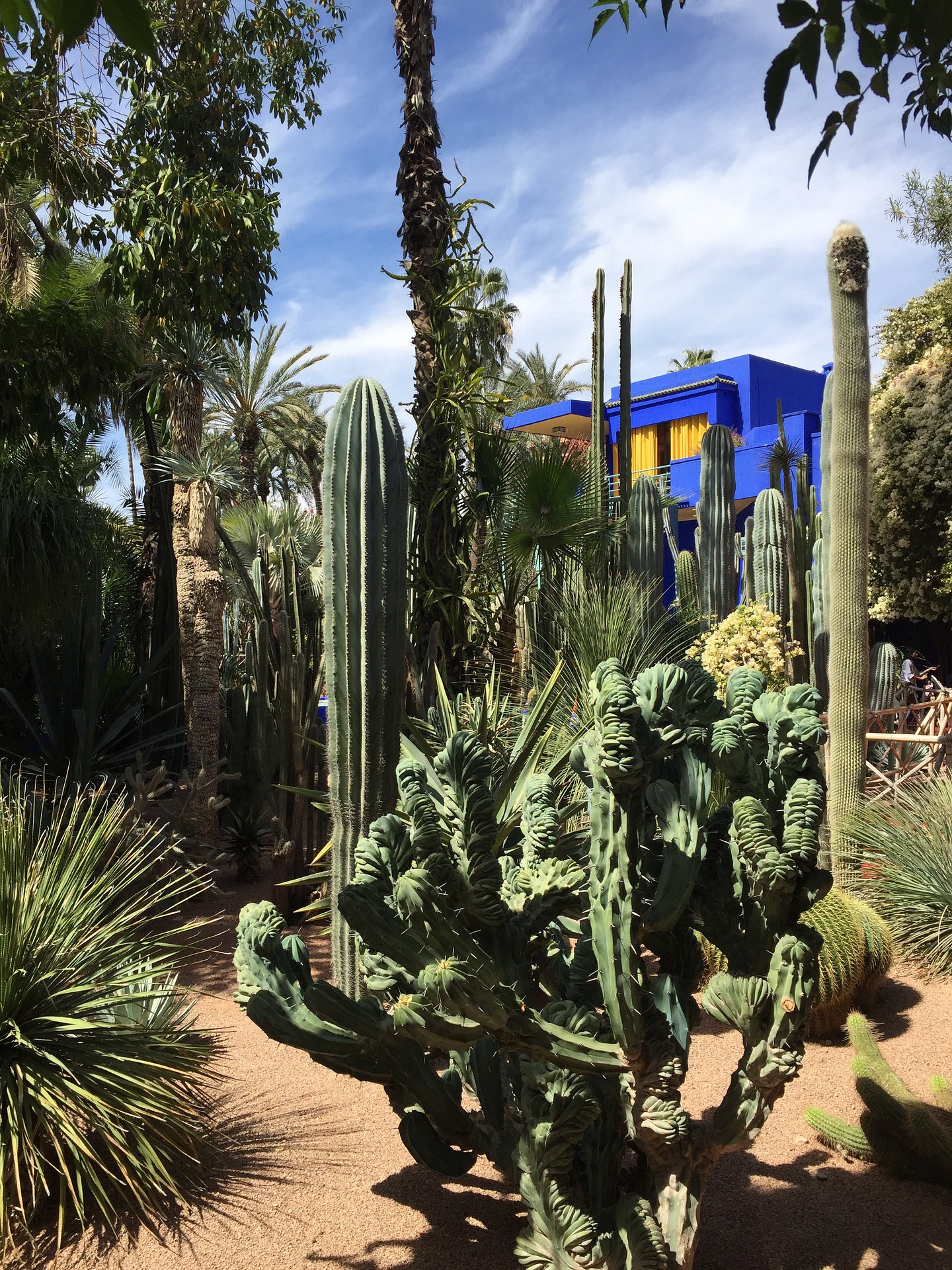 The Jardin Majorelle